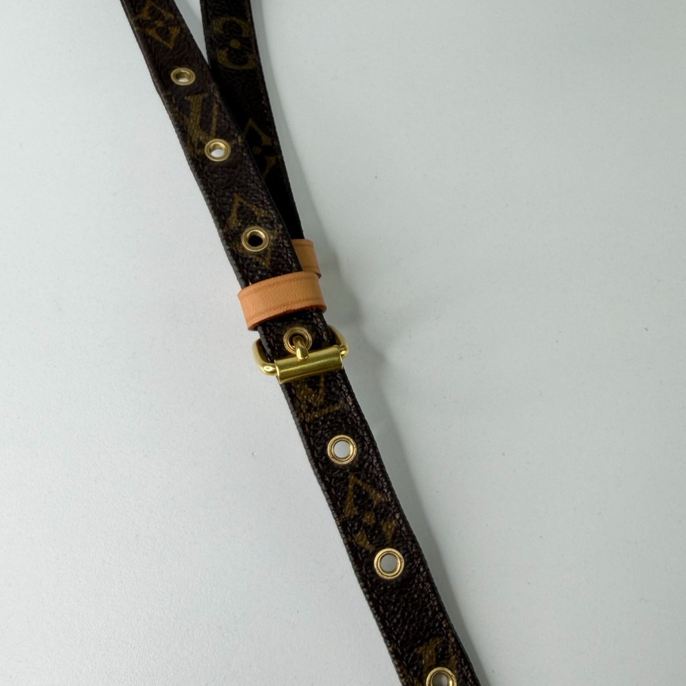Authentic Louis Vuitton Monogram Crossbody Bag Vintage Amazone Everyday Bag - Picture 7 of 12